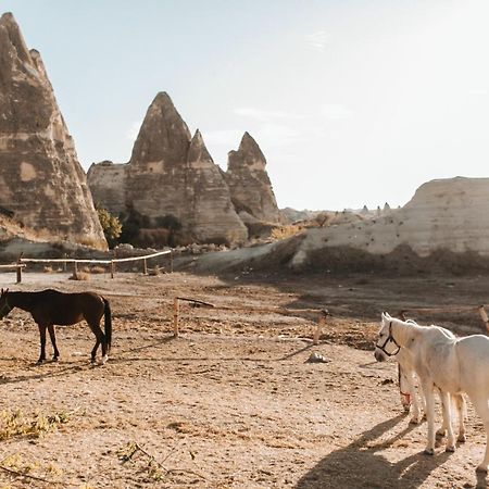 Sandik Cave Suites Νεβσεχίρ Εξωτερικό φωτογραφία