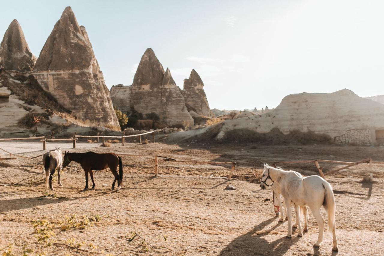 Sandik Cave Suites Νεβσεχίρ Εξωτερικό φωτογραφία